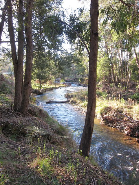 The Harrietville Snowline Hotel - Timeshare Accommodation 35