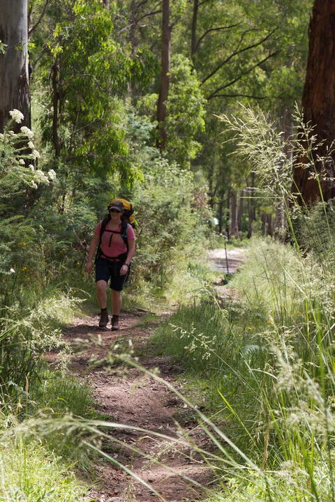 The Harrietville Snowline Hotel - Timeshare Accommodation 11