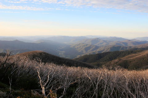 The Harrietville Snowline Hotel - Timeshare Accommodation 36
