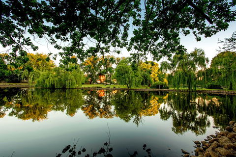 BIG4 Castlemaine Gardens - Timeshare Accommodation 19