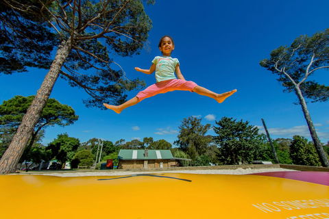 BIG4 Castlemaine Gardens - Timeshare Accommodation 21