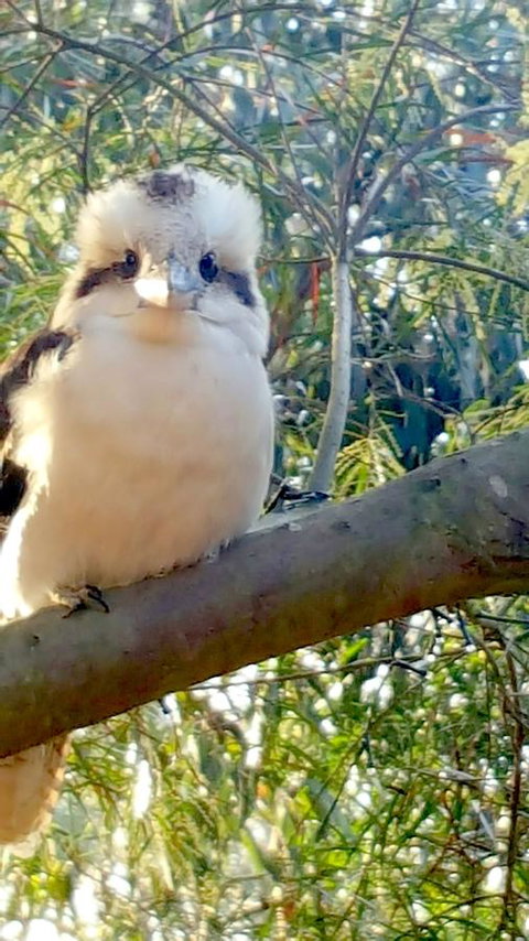 The Nature Resort Villas - Timeshare Accommodation 22