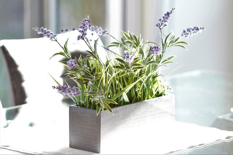 Tamara Temptation - Timeshare Accommodation 23