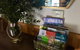 Kangurra Holiday House - thumb 8