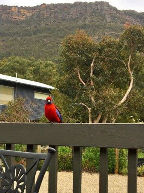Kangurra Holiday House - Timeshare Accommodation 15