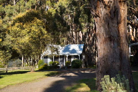 Bodhi Daylesford - Timeshare Accommodation 8