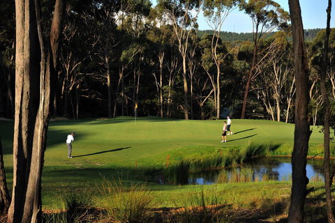 RACV Goldfields Resort - Timeshare Accommodation 12