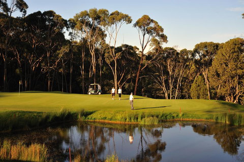 RACV Goldfields Resort - Timeshare Accommodation 31