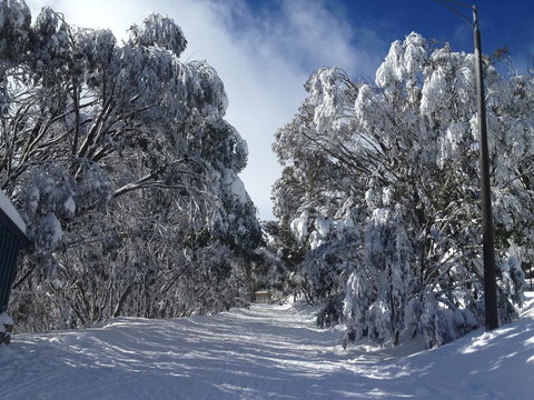 Maisonettes Falls Creek - Timeshare Accommodation 17