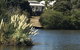 Lakeside Conti Villas - thumb 0