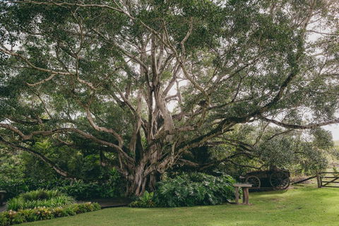 The Eumundi Dairy - Timeshare Accommodation 2