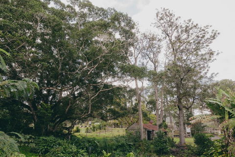 The Eumundi Dairy - Timeshare Accommodation 1