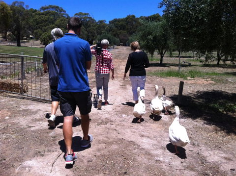 The Farm Willunga - Timeshare Accommodation 1