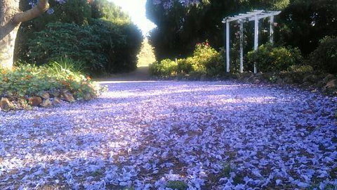 The Old Church Bed And Breakfast - Timeshare Accommodation 2