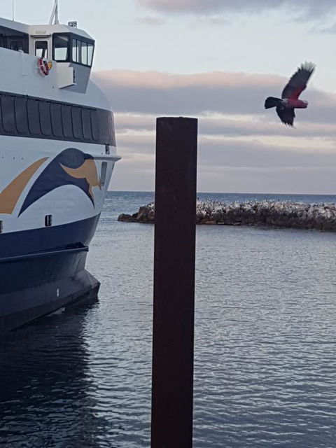 Trading Places Kangaroo Island - Timeshare Accommodation 2