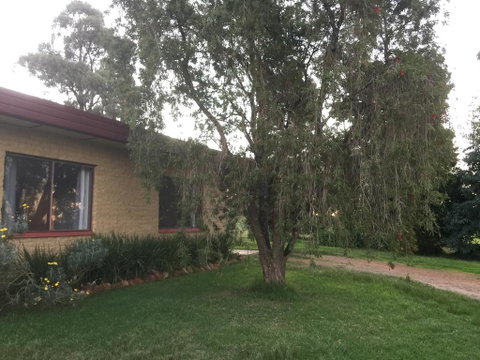 Tree Of Love Farm Stay - Timeshare Accommodation 1
