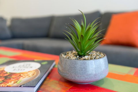 Urban Jungle! Executive Apartment In Heart Of CBD - Timeshare Accommodation 1