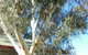 Wagga Wagga Tourist Park - thumb 2