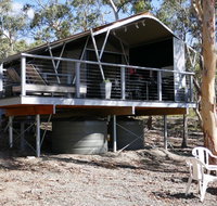 Wallabies Rest