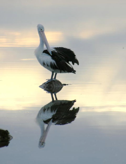 Wanderers Rest Of Kangaroo Island - Timeshare Accommodation 3