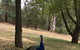 Daydream Cottage - thumb 23