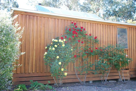 Bluegum Ridge Cottages - Timeshare Accommodation 23