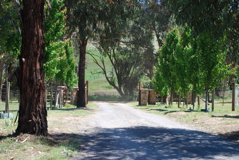 Bluegum Ridge Cottages - Timeshare Accommodation 3