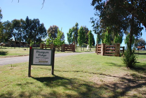 Bluegum Ridge Cottages - Timeshare Accommodation 1