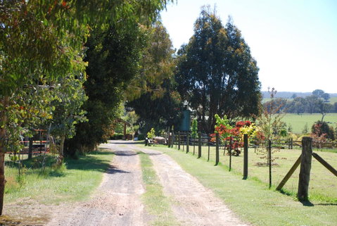 Bluegum Ridge Cottages - Timeshare Accommodation 4