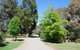 Bluegum Ridge Cottages - thumb 5