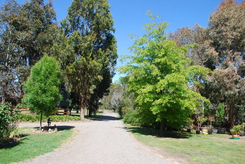 Bluegum Ridge Cottages - Timeshare Accommodation 5