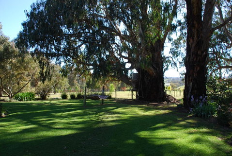Bluegum Ridge Cottages - Timeshare Accommodation 29