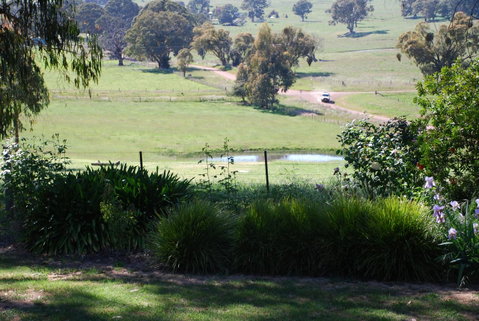 Bluegum Ridge Cottages - Timeshare Accommodation 30