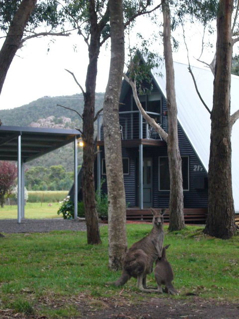 The A-Frame - Timeshare Accommodation 1