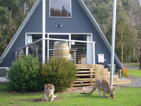 The A-Frame - Timeshare Accommodation 10