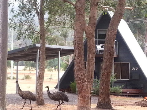 The A-Frame - Timeshare Accommodation 9