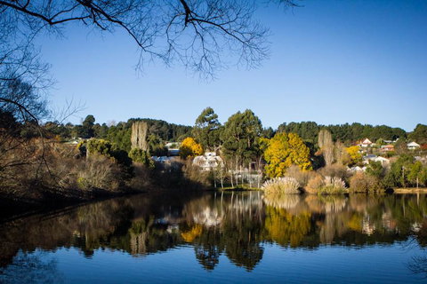Chestnut Daylesford - Timeshare Accommodation 14
