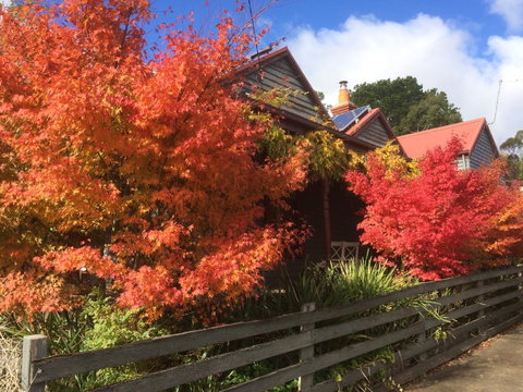 Chestnut Daylesford - Timeshare Accommodation 13