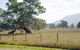 Corrugated Cottage - thumb 4