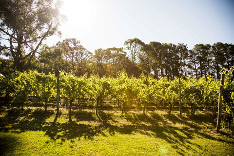 Polperro Villas - Timeshare Accommodation 18