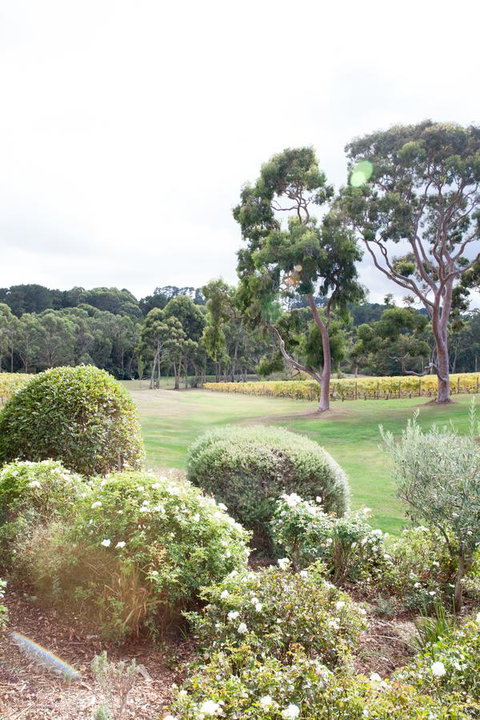 Polperro Villas - Timeshare Accommodation 16