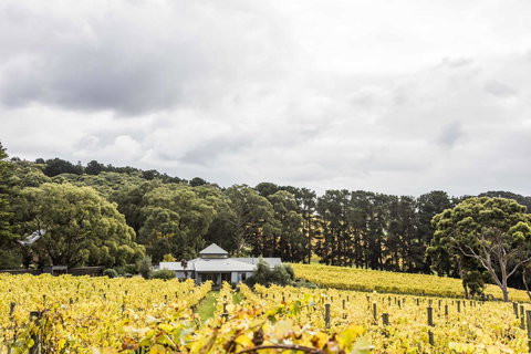 Polperro Villas - Timeshare Accommodation 21