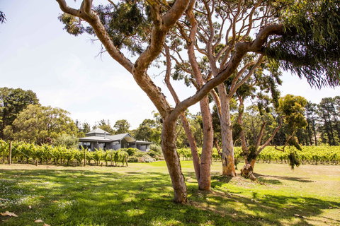 Polperro Villas - Timeshare Accommodation 17