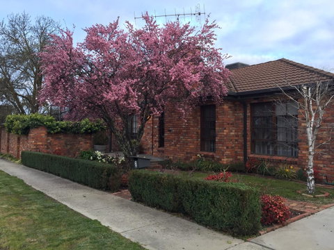 Bricks And Roses - Timeshare Accommodation 2