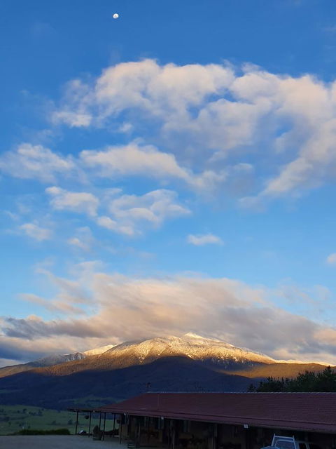 Allamar Motel - Timeshare Accommodation 3