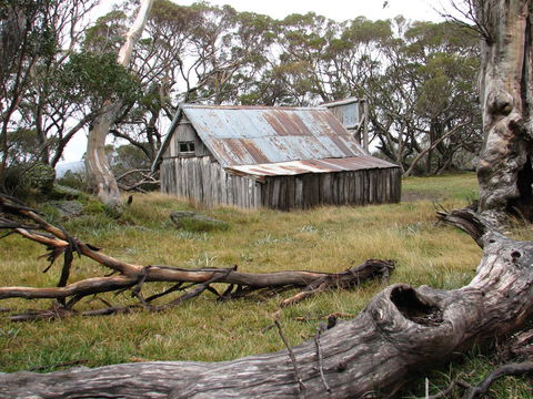 Allamar Motel - Timeshare Accommodation 42