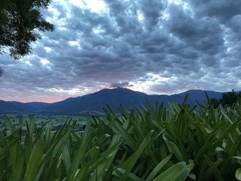 Allamar Motel - Timeshare Accommodation 4