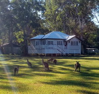 Lake Weyba Noosa Lodge  Kangaroos - Timeshare Accommodation