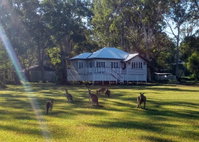 Book Peregian Beach Accommodation Vacations Timeshare Accommodation Timeshare Accommodation