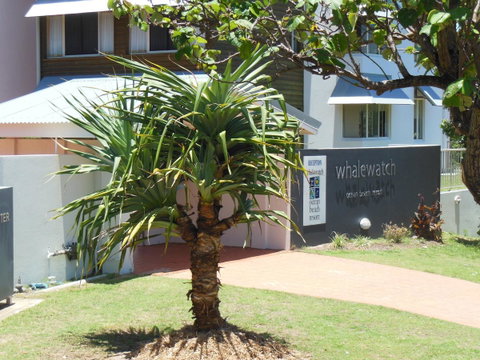 Whale Watch Ocean Beach Resort - Timeshare Accommodation 15
